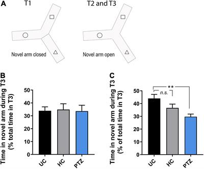 Learning Deficits and Attenuated Adaptive Stress Response After Early-Life Seizures in Zebrafish